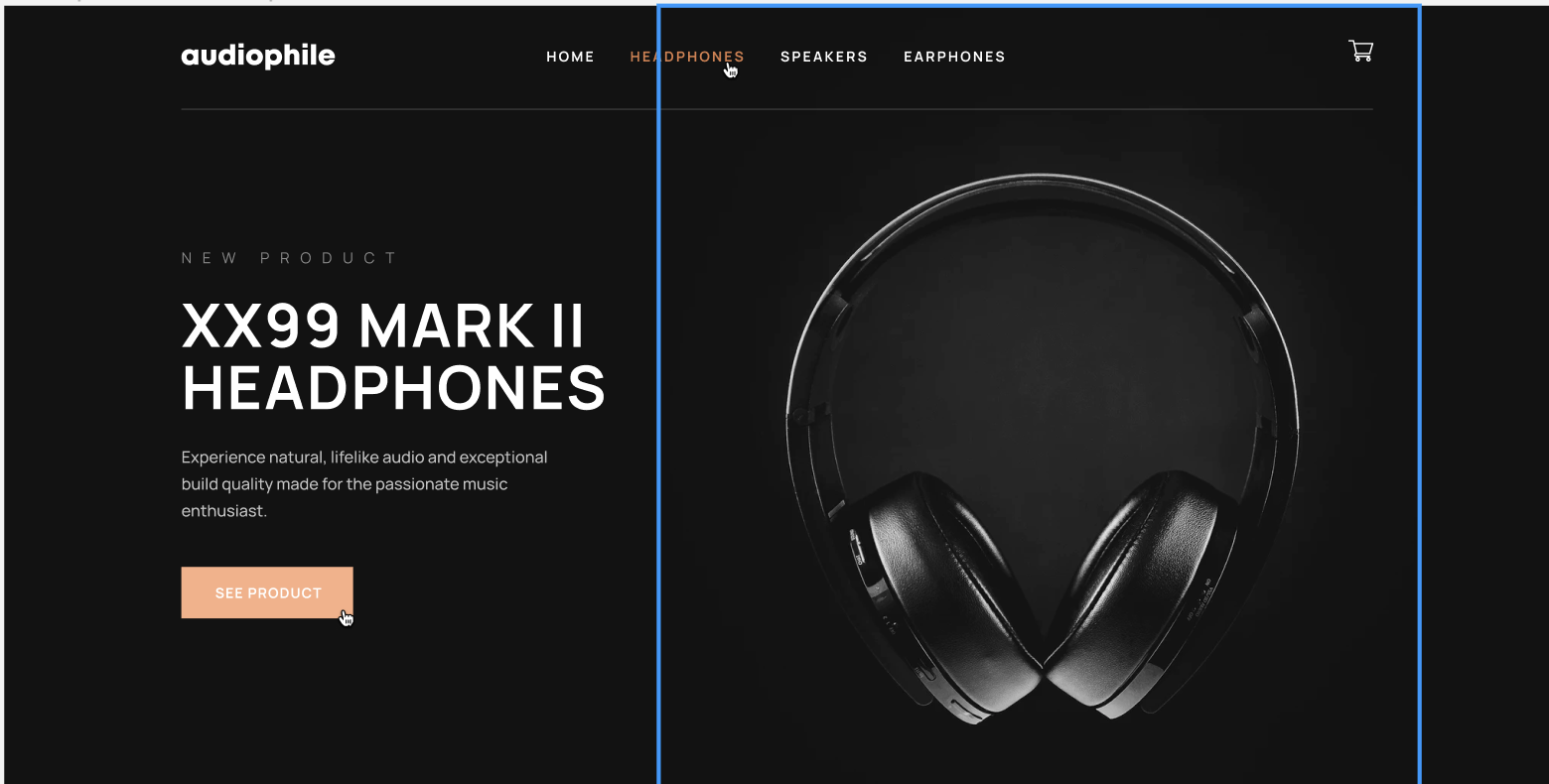 An image of the Audiophile E-commerce project.